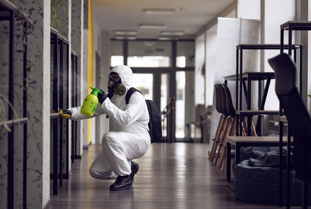 Professional commercial mold remediation in a Charlotte NC office building using specialized spraying equipment.