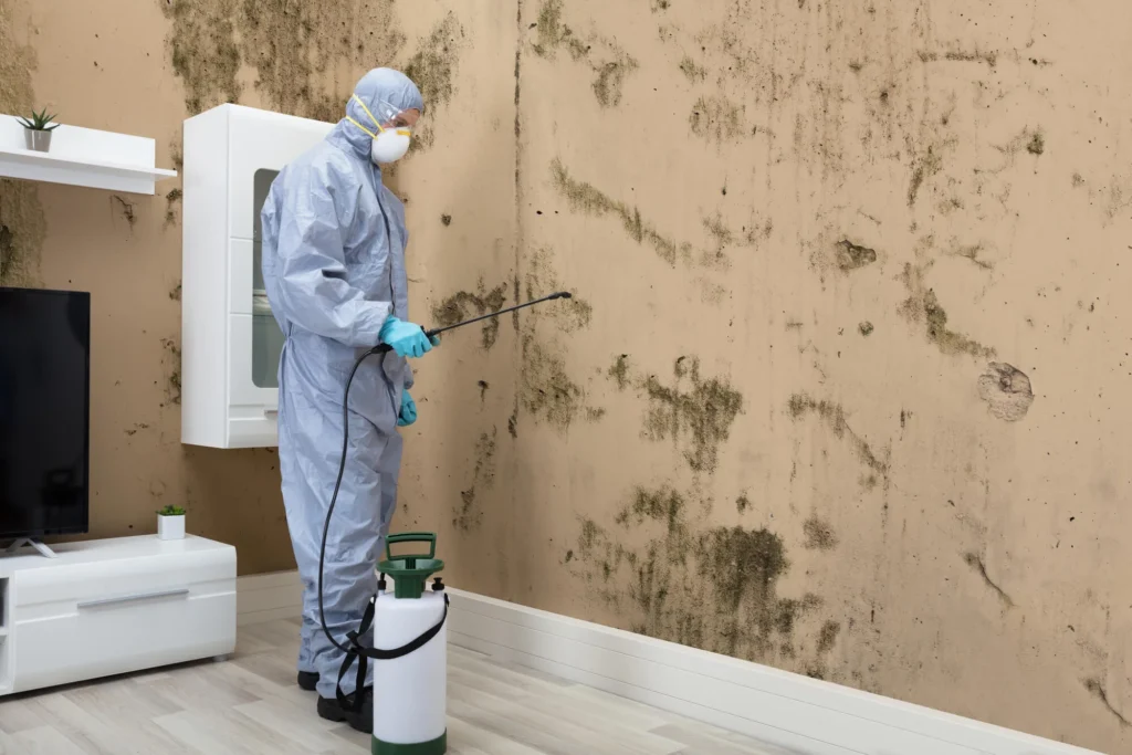 Technician in protective gear treating wall mold during commercial mold remediation in Charlotte, NC.