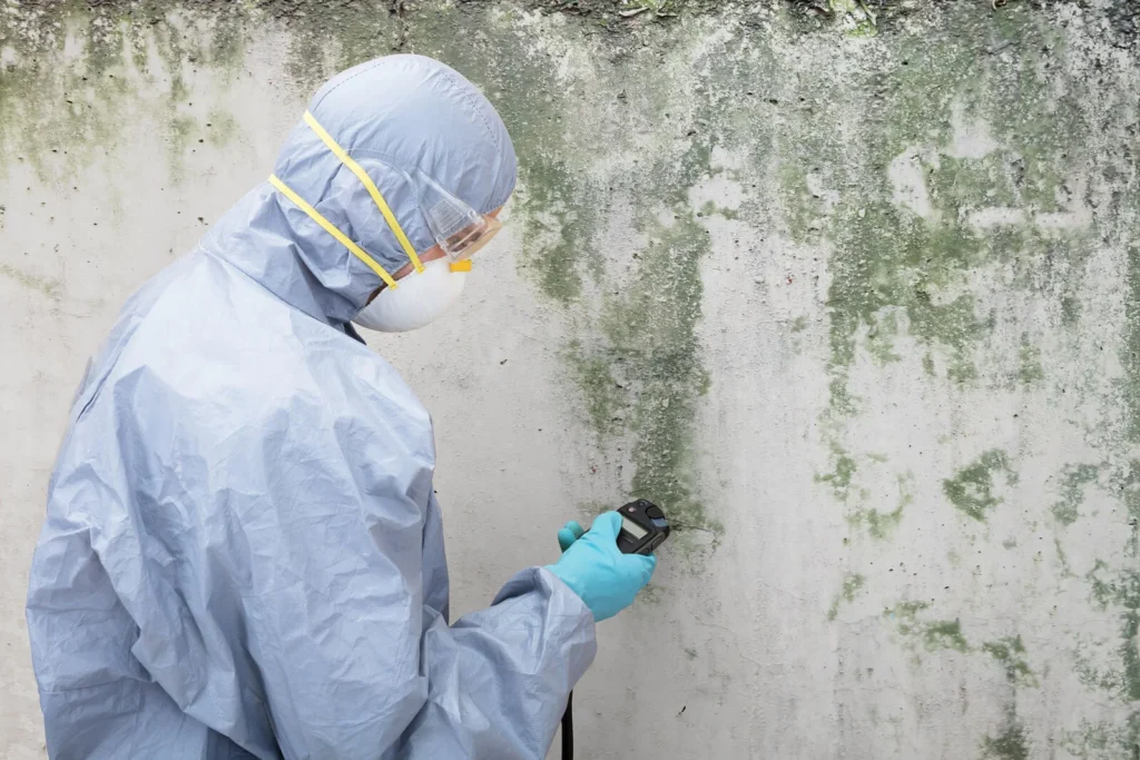 Professional inspector in protective gear performing attic mold remediation in Charlotte NC, treating green mold growth on attic sheathing.