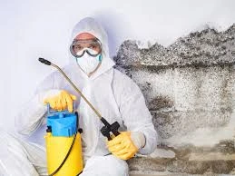 Certified technician in PPE applying treatment for commercial mold remediation in a Charlotte NC building.
