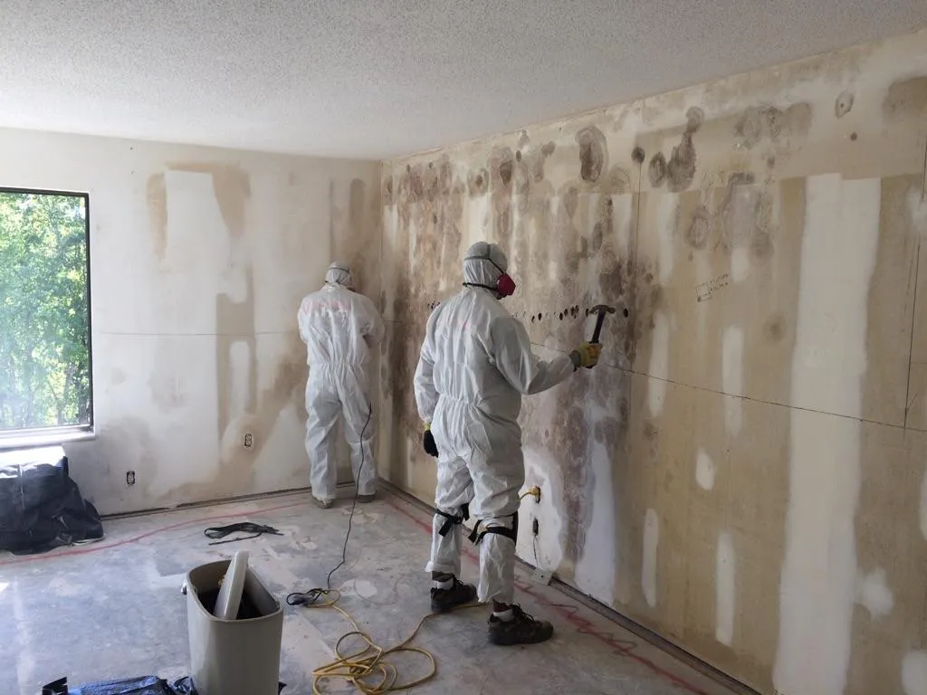 Remediation team in full PPE removing mold-damaged drywall during crawl space mold remediation in Charlotte NC.