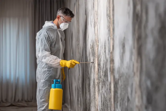 Professional technician performing mold remediation in Gastonia, NC, wearing a white hazmat suit and respirator while treating a mold-infested wall.
