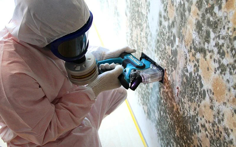 Technician cutting out mold-damaged drywall during commercial mold remediation in Charlotte, NC.
