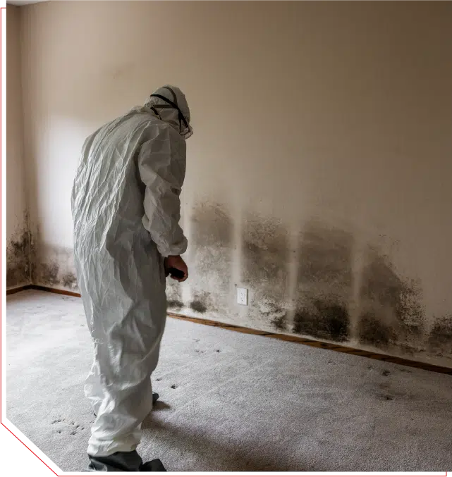 IICRC certified specialist performing a professional basement mold inspection in a Charlotte NC home to identify toxic black mold growth.