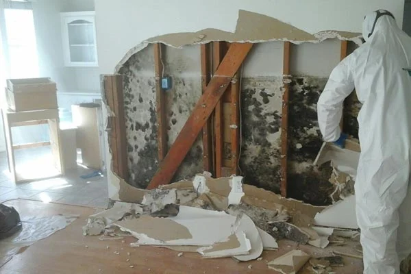 Large-scale commercial mold remediation in Gastonia, NC, featuring a technician removing contaminated drywall in a business facility.