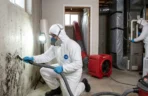 Professional Basement Mold Remediation Process and Timeline A photo from the file "How Long Does Mold Remediation Take.webp" shows two professional technicians in full protective gear cleaning severe black mold from concrete basement walls and inspecting HVAC systems with professional equipment.