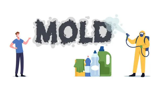 diy-vs-professional-mold-removal.jpg A comparison graphic of DIY vs Professional Mold Removal showing a person with basic household cleaning bottles next to a specialist wearing a yellow hazmat suit spraying mold.