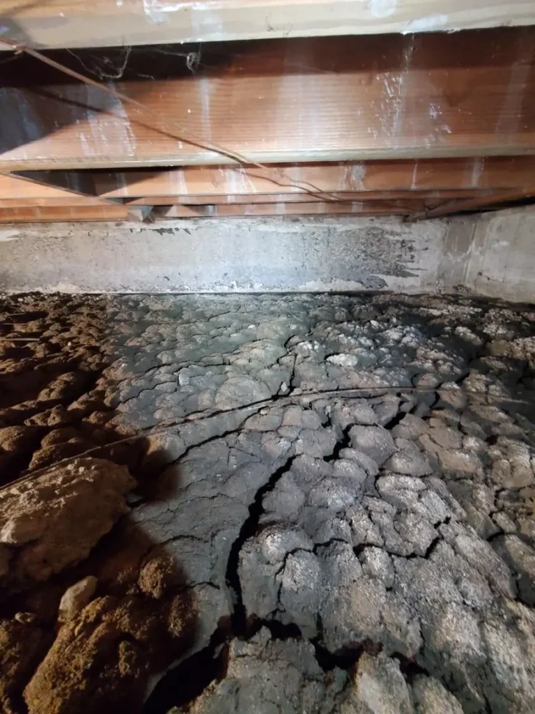 Wide angle view under a house showing dry, deeply cracked clay dirt floor beneath exposed wooden floor joists before sudden rain inundation.
