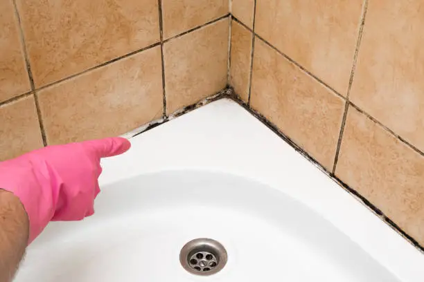 A gloved hand pointing to black mold growing in the caulk and grout lines of a shower corner, illustrating how to prevent mold in bathrooms.