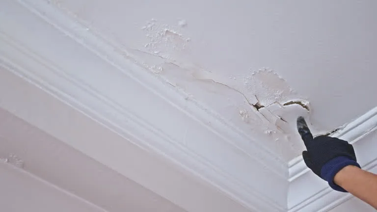 A hand in a black glove pointing to water damage, peeling paint, and bubbling plaster on a ceiling below an attic, illustrating how to prevent mold in the attic.
