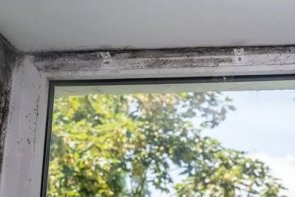 Black mold and dust accumulating along the top of a white window frame and ceiling, demonstrating why poor ventilation make everything worse by trapping stagnant, humid air indoors.