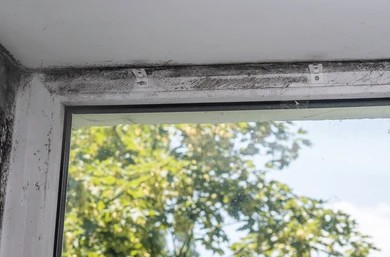 Mold growth along window casing caused by trapped indoor humidity in a Charlotte home