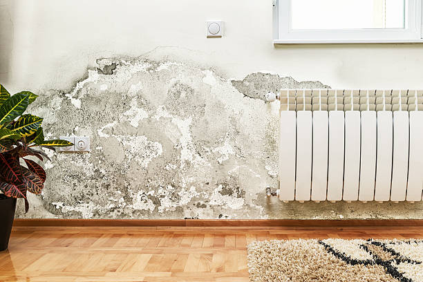 Severe damp damage and peeling paint on interior wall near radiator.
