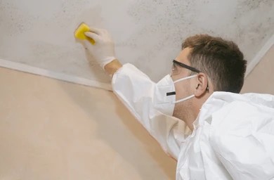 Professional mold remediation technician in protective gear cleaning mold off a ceiling with a sponge.