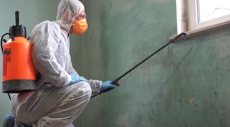 Professional mold removal specialist treating window condensation mold in a Charlotte NC house