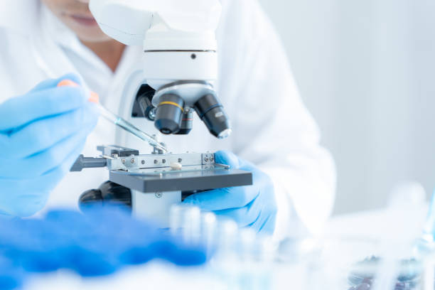 Laboratory analysis of mold samples using a microscope to evaluate black mold health risks.