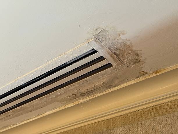 Water condensation droplets and visible dark fungal damage on ceiling drywall surrounding a linear AC air vent.