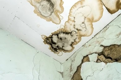 Ceiling water damage and dark mold infestation in a South End Charlotte home.