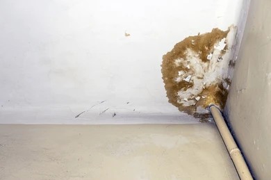 Water damage and brown mold spreading on a wall from a leaking pipe.