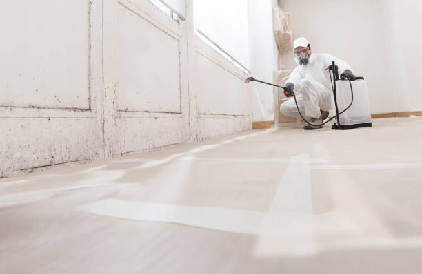 Mold removal professional in protective hazmat suit spraying treatment to eliminate mold growth.