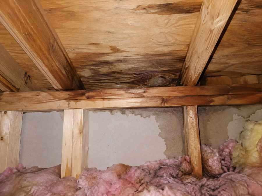 Water stained roof decking, framing, and insulation showing how a roof leak can carry moisture into wall cavities in a Charlotte home.