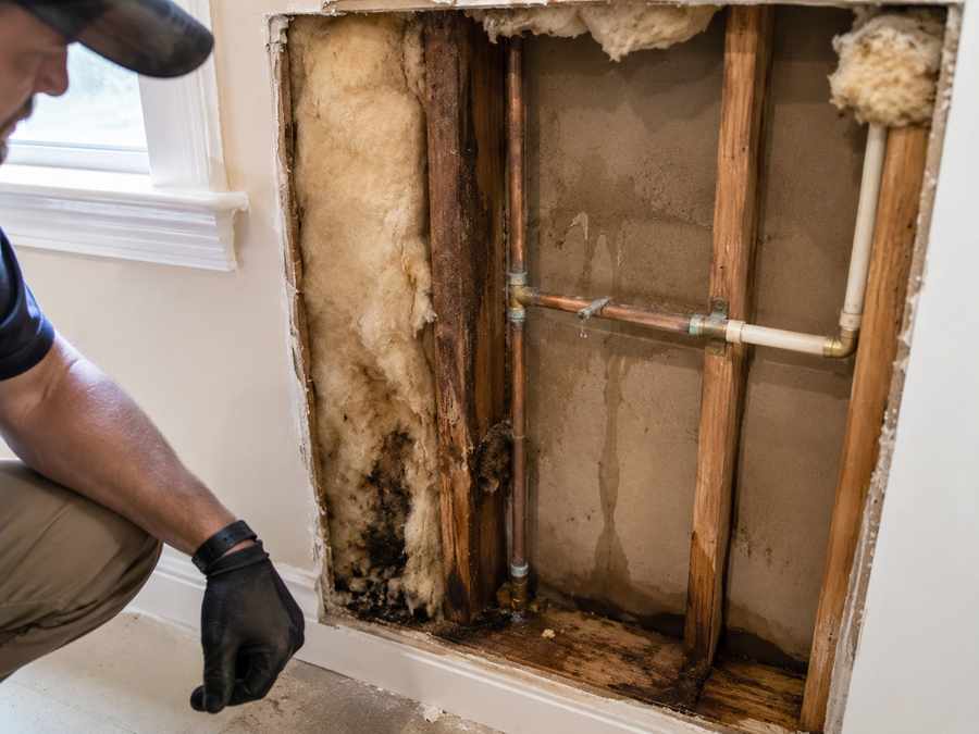 Exposed wall cavity showing a slow plumbing leak, damp insulation, wood framing, and moisture behind drywall in a Charlotte home.