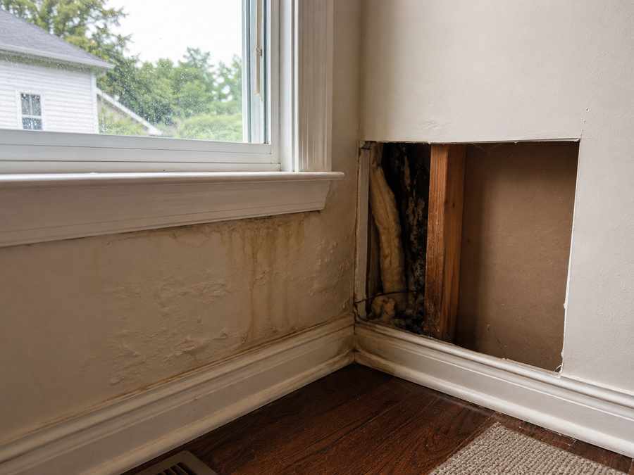 Interior wall near a window showing water staining, bubbling paint, damp trim, and hidden moisture behind exposed drywall.